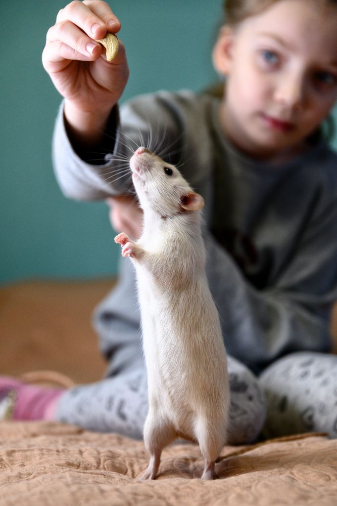 Фотография автора Станислав Левандовский