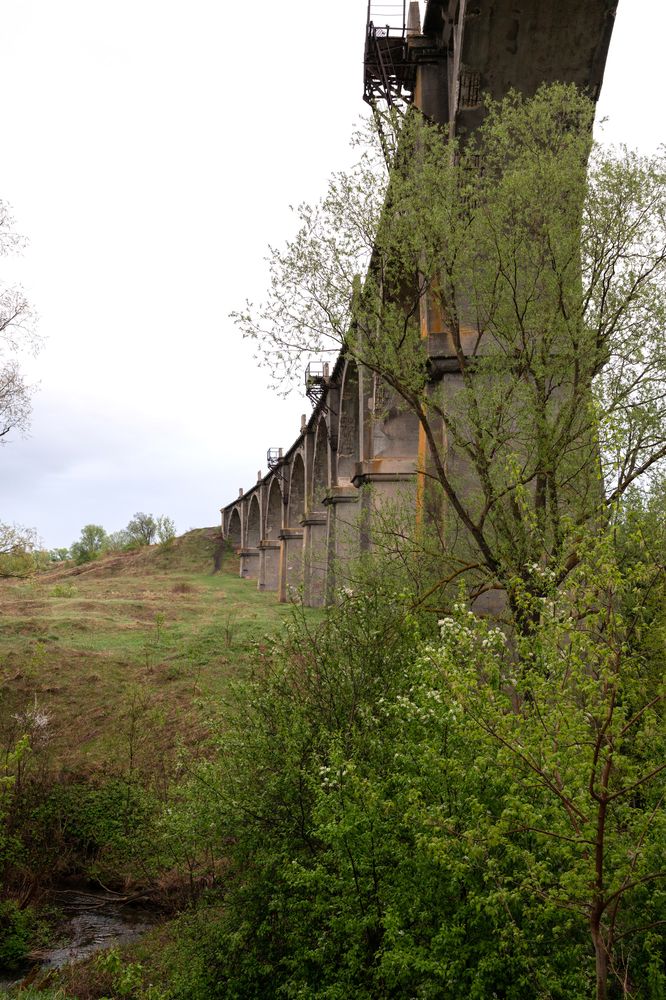 Photograph by Ольга Степанова