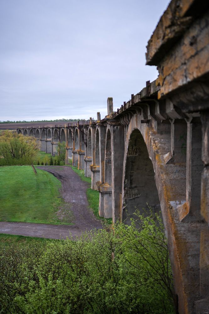 Photograph by Ольга Степанова