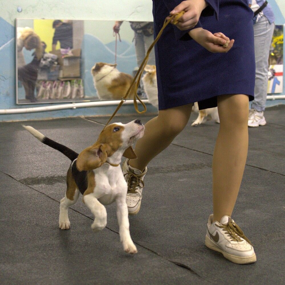 Photograph by Дашима