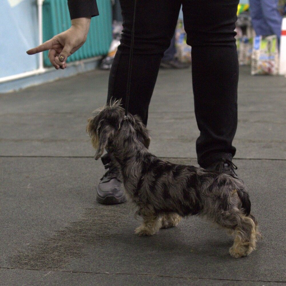 Photograph by Дашима