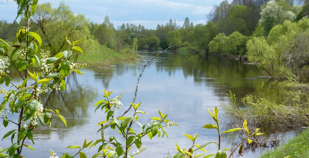 Photograph by Лидия Киприч