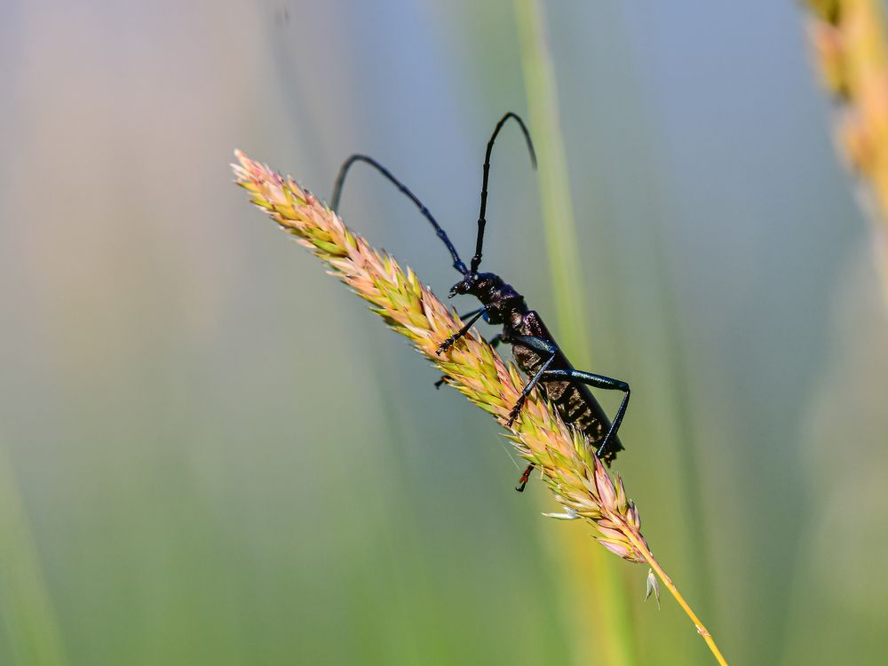 Фотография автора Николай Абакумов