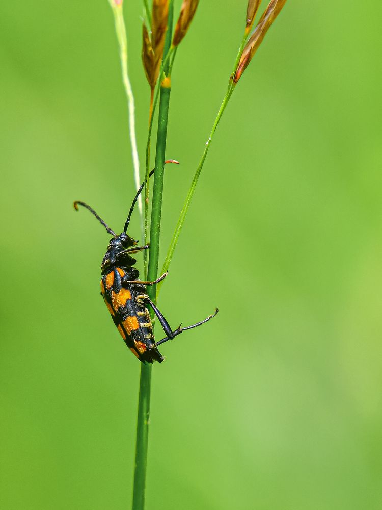Фотография автора Николай Абакумов