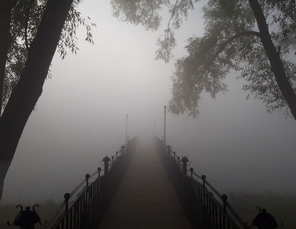 Photograph by Елена Пикатова