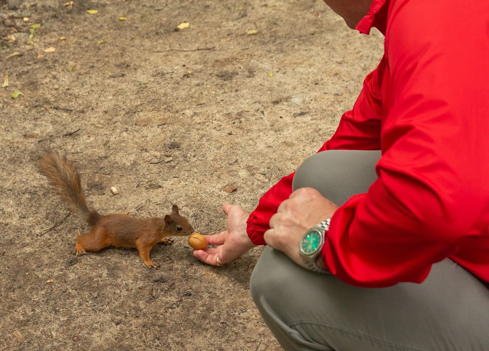 Photograph by Сергей Гончаров