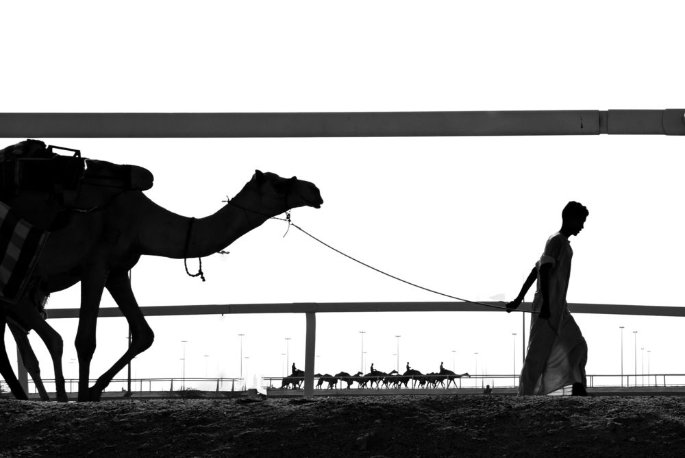 Photograph by Shaji Hussain