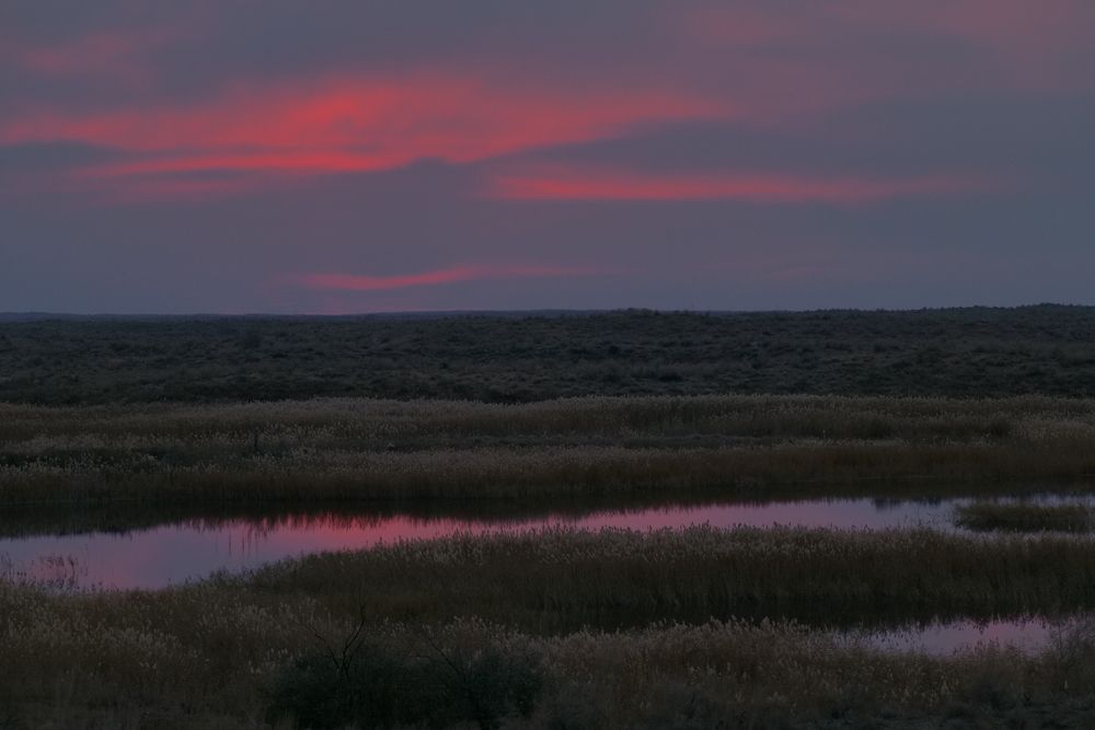 Фотография автора Наталья Яковлева