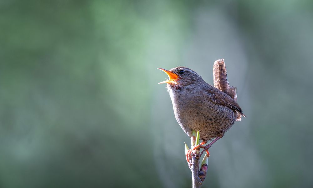 Photograph by Алексей Зайцев