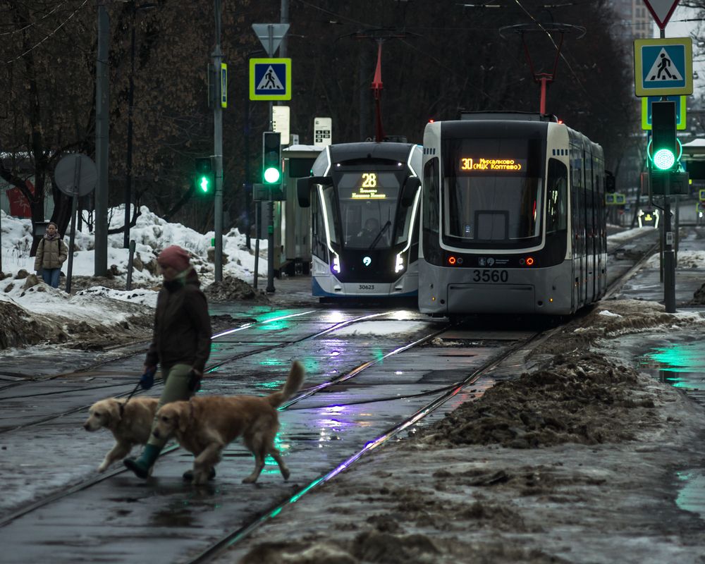 Photograph by Алексеев Сергей