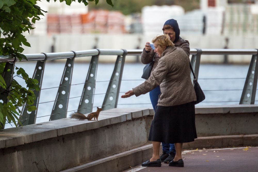 Photograph by Алексеев Сергей