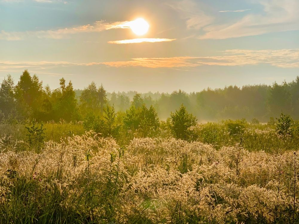 жаркое утро