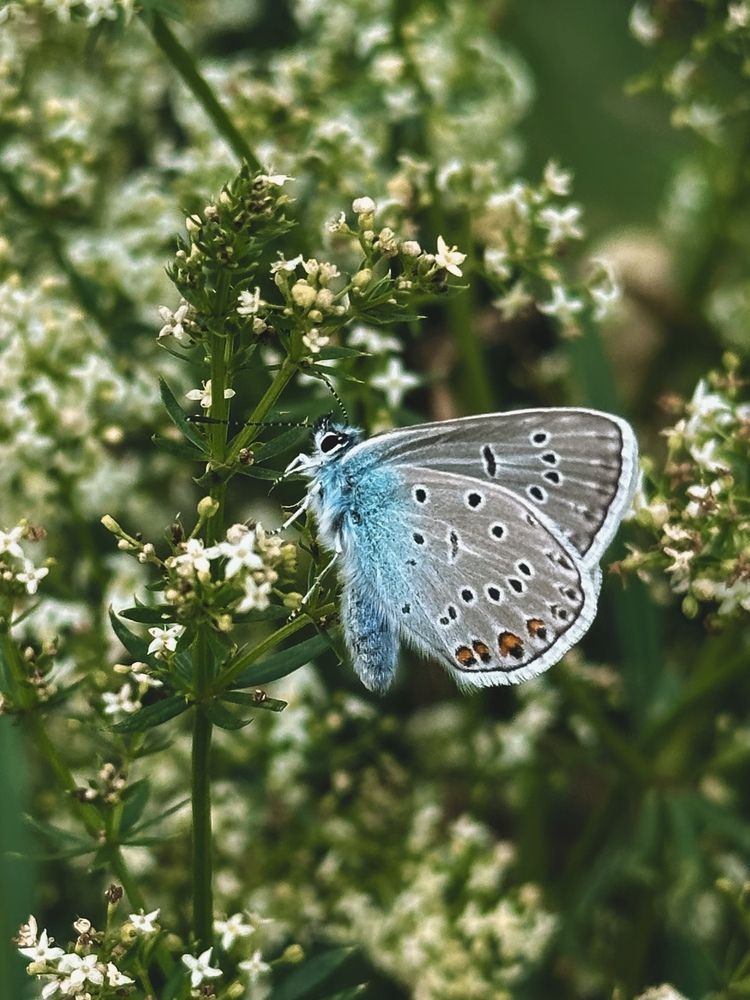 Photograph by Анастасия