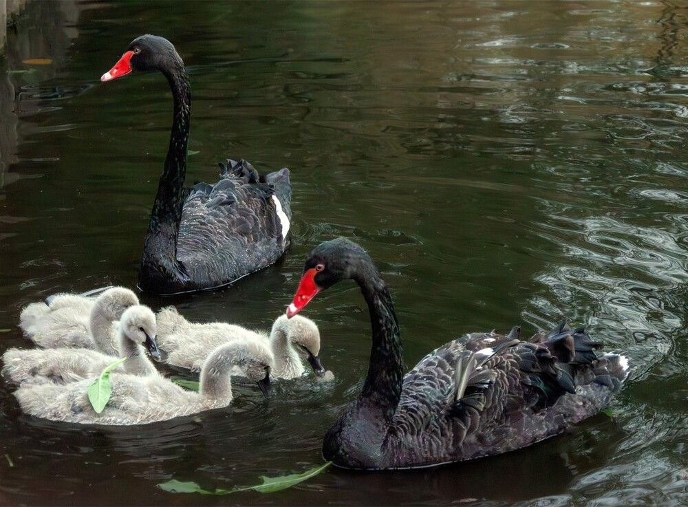 Photograph by Александр Порохов