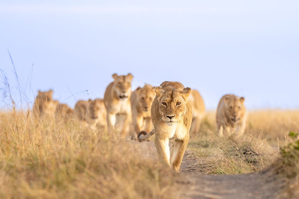 Photograph by ANOSH MATHEW