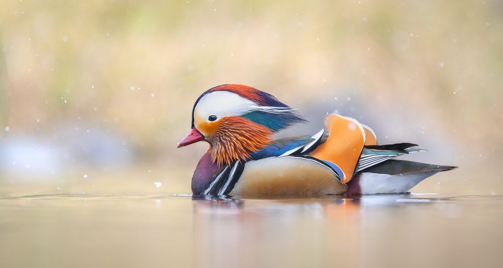 Photograph by Алексей Зайцев