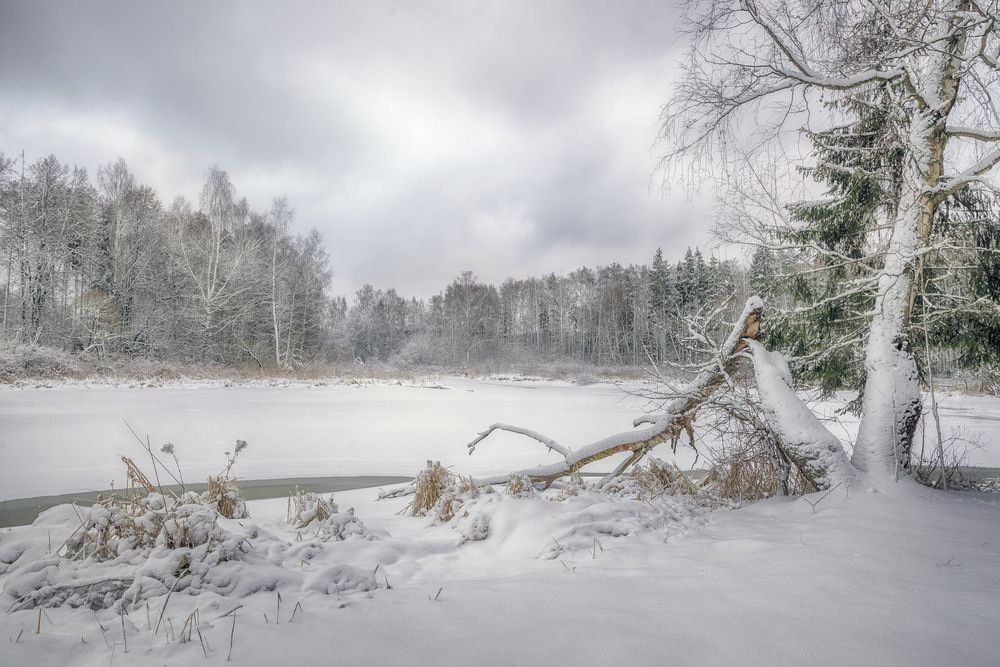 Photograph by Сергей Аникин