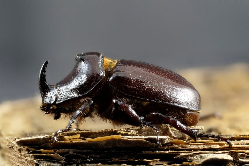 Photograph by Аlessandro