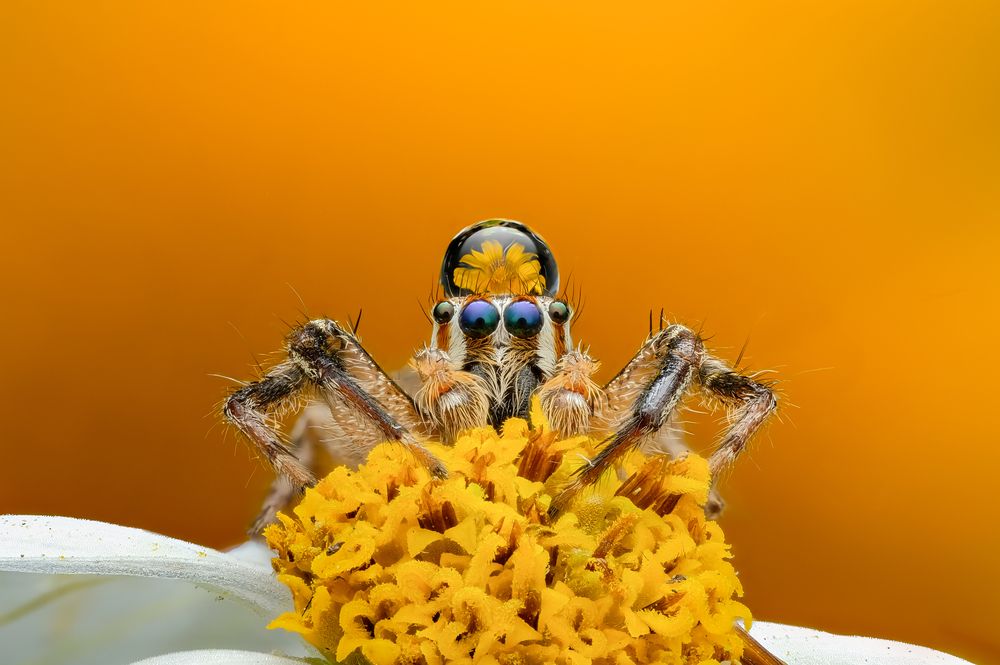 Photograph by Bùi Ngọc Hiếu