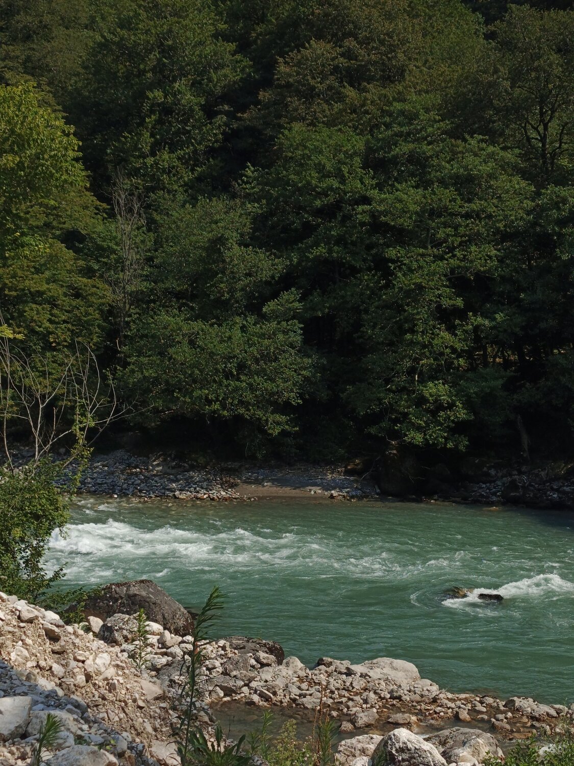 Photo #13279082