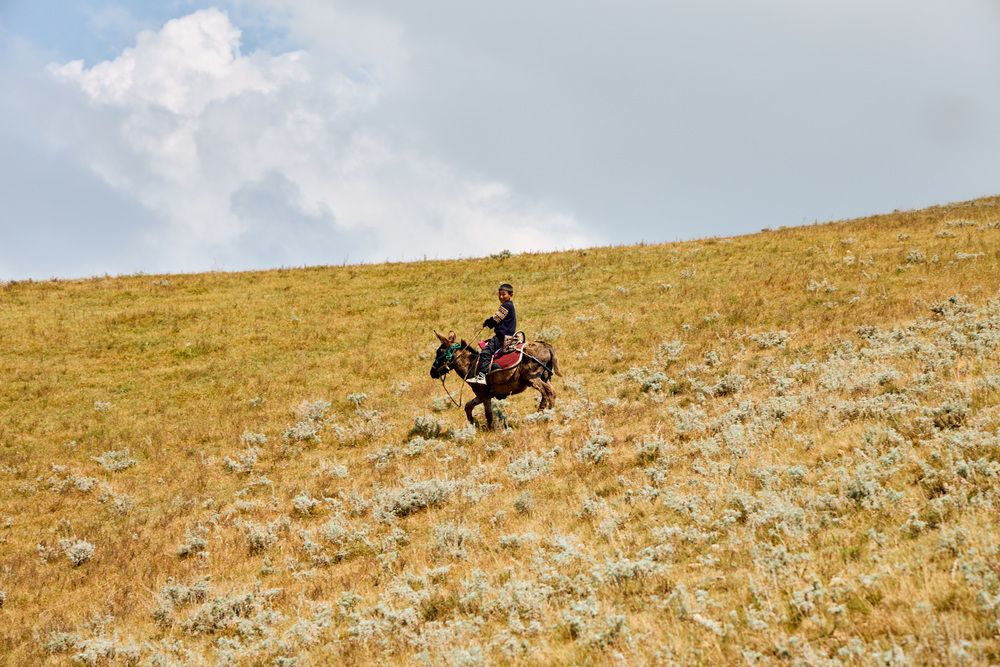 Photograph by Константин Федяев