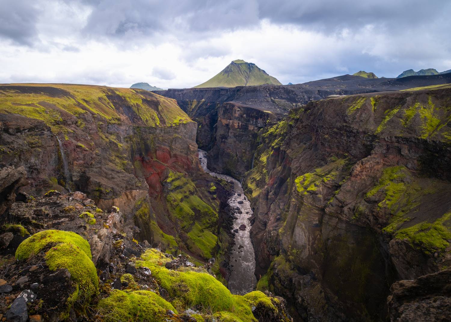 Фотография #13279134