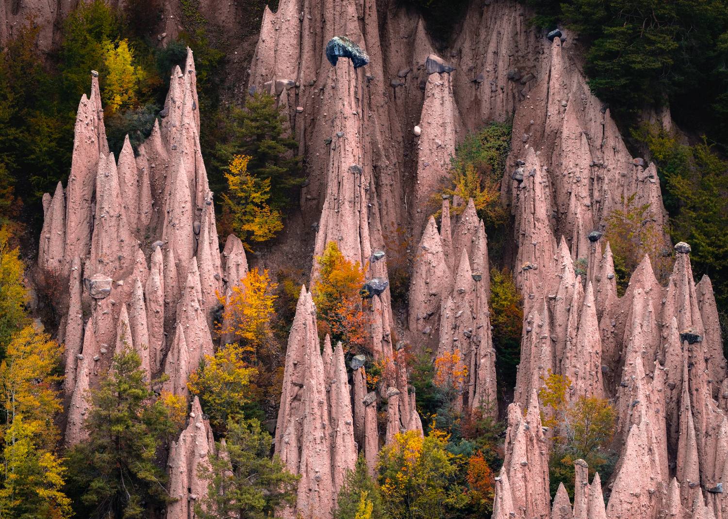 Фотография #13279152