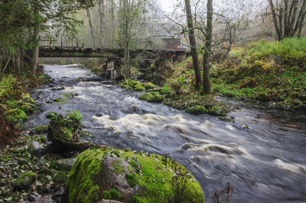 Фотография автора Алексей Алешин