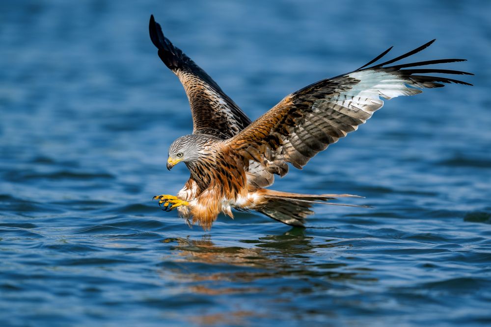 Photograph by Ruzhdi Ibrahimi