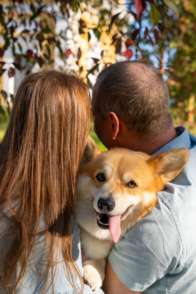 Фотография автора Ирина Кокшарова