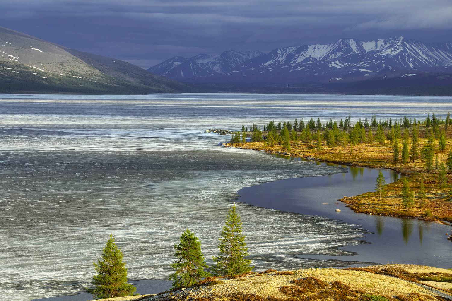 Фотография #13279391