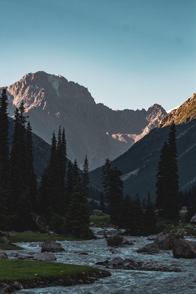 Фотография автора Денис Мартыновский