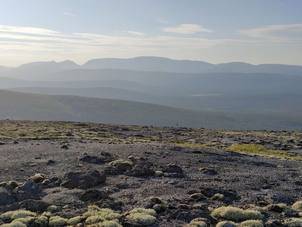 Photo #13279501