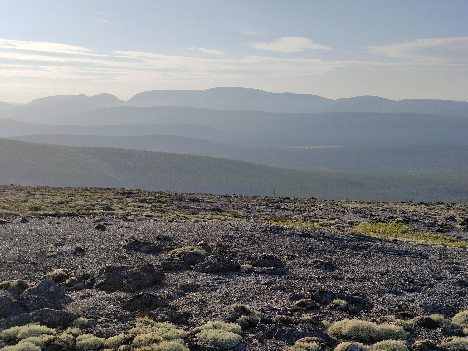 Photo #13279501