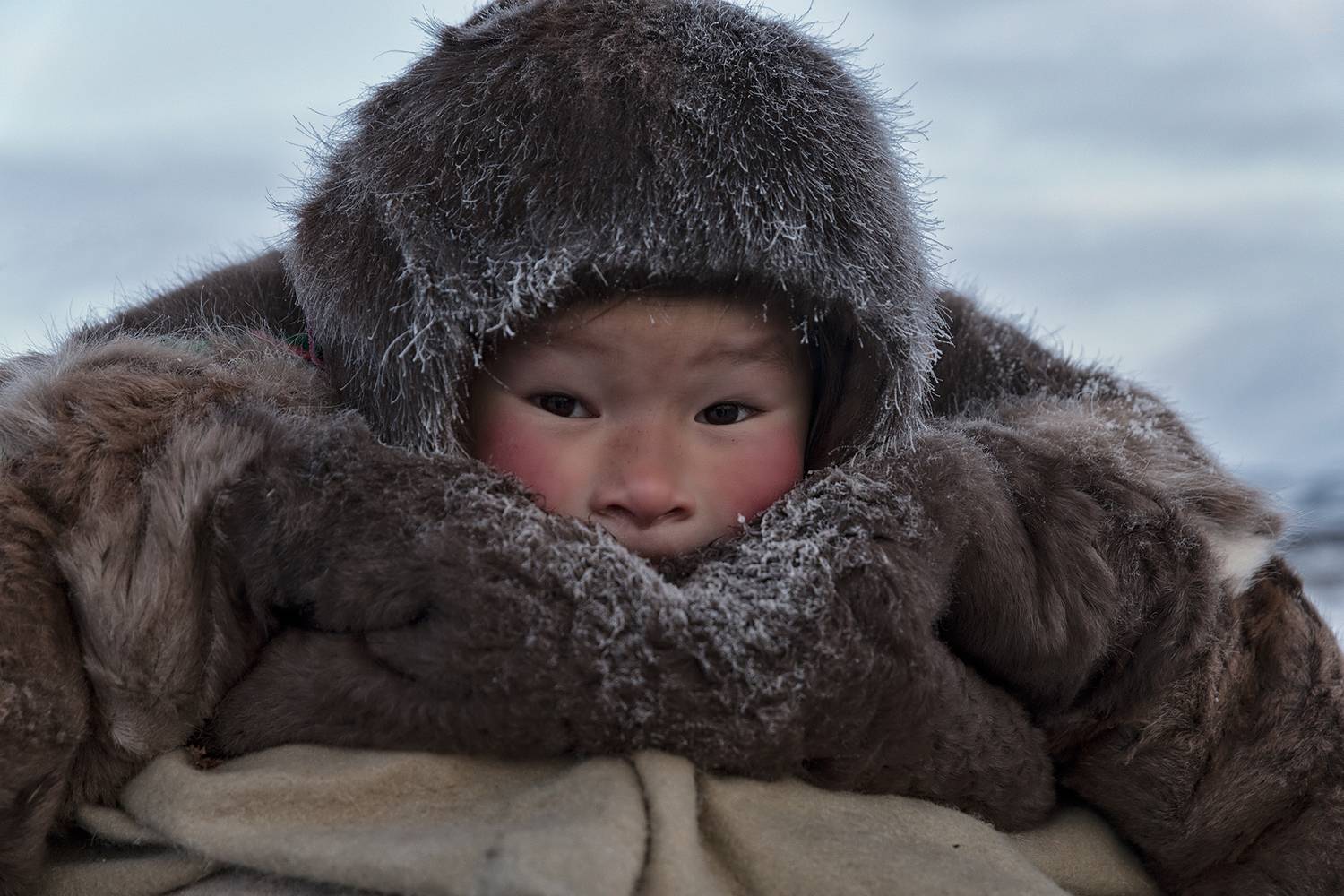 Фотография #13279504