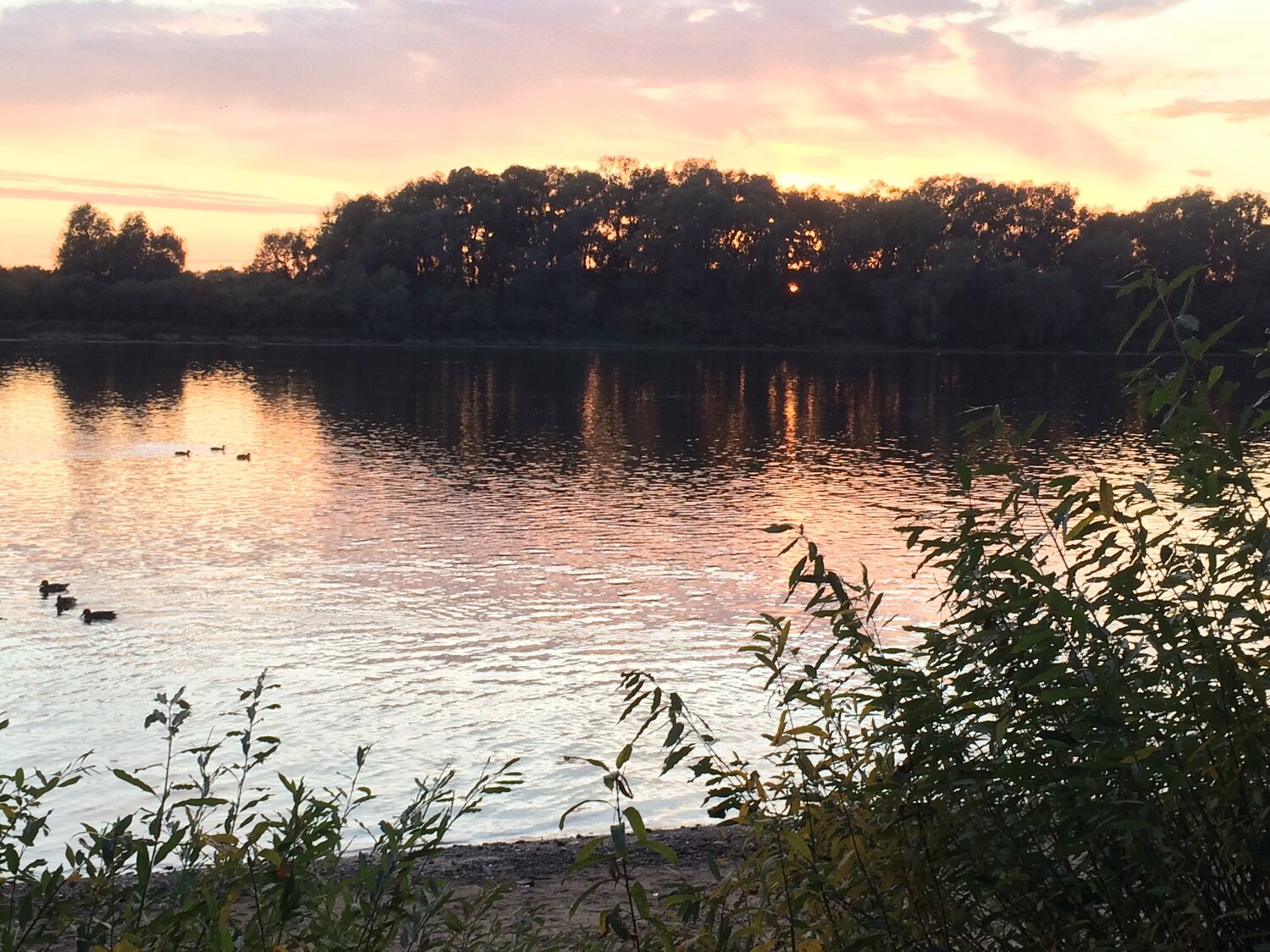 Photo #13279541