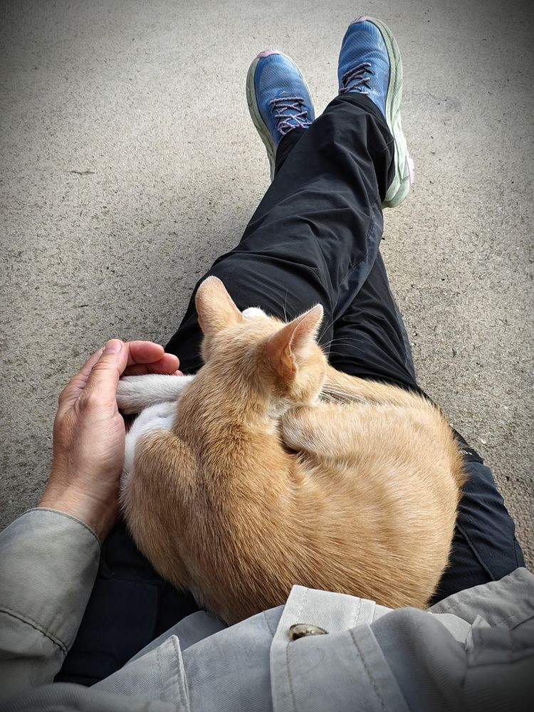 Photograph by Szilvia Pap