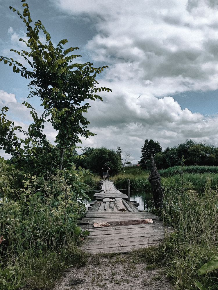 Фотография автора Алиса Исаева