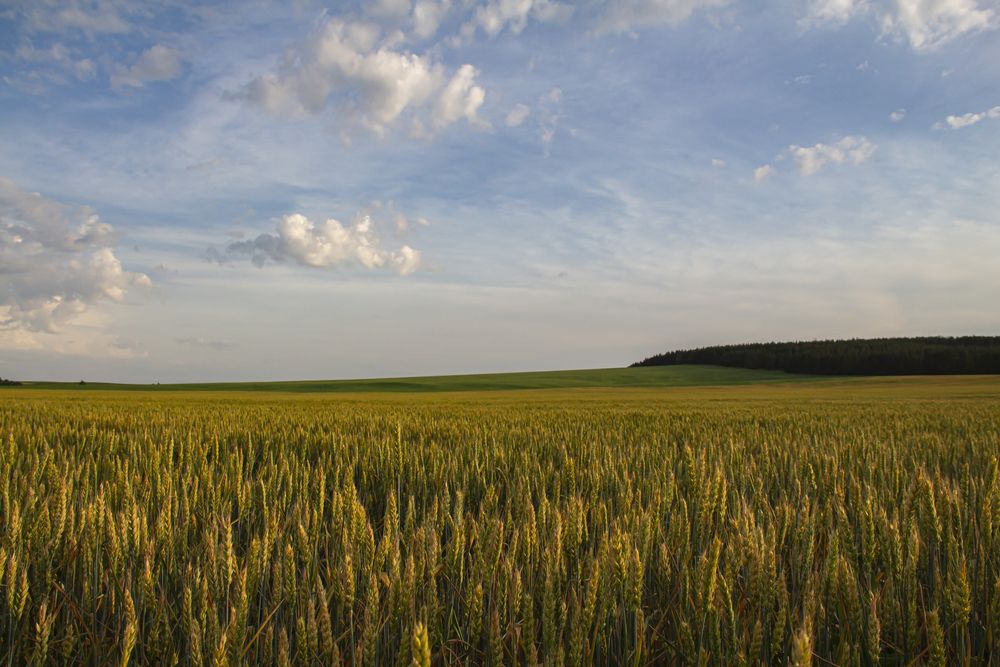 Photograph by Андрей Злобин