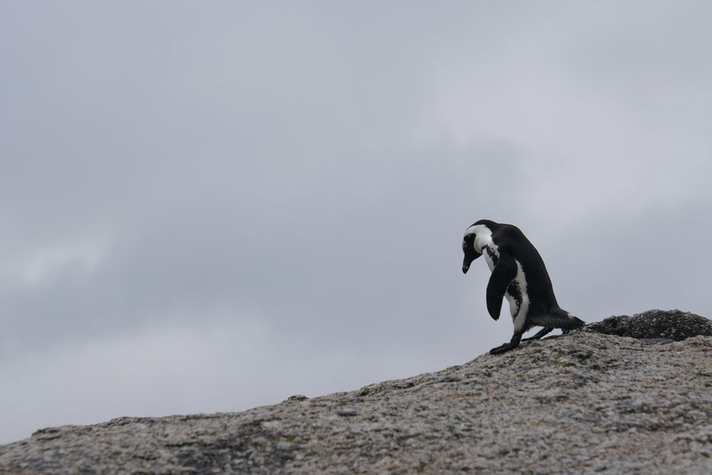 Photograph by IGOR CHEBUNIN