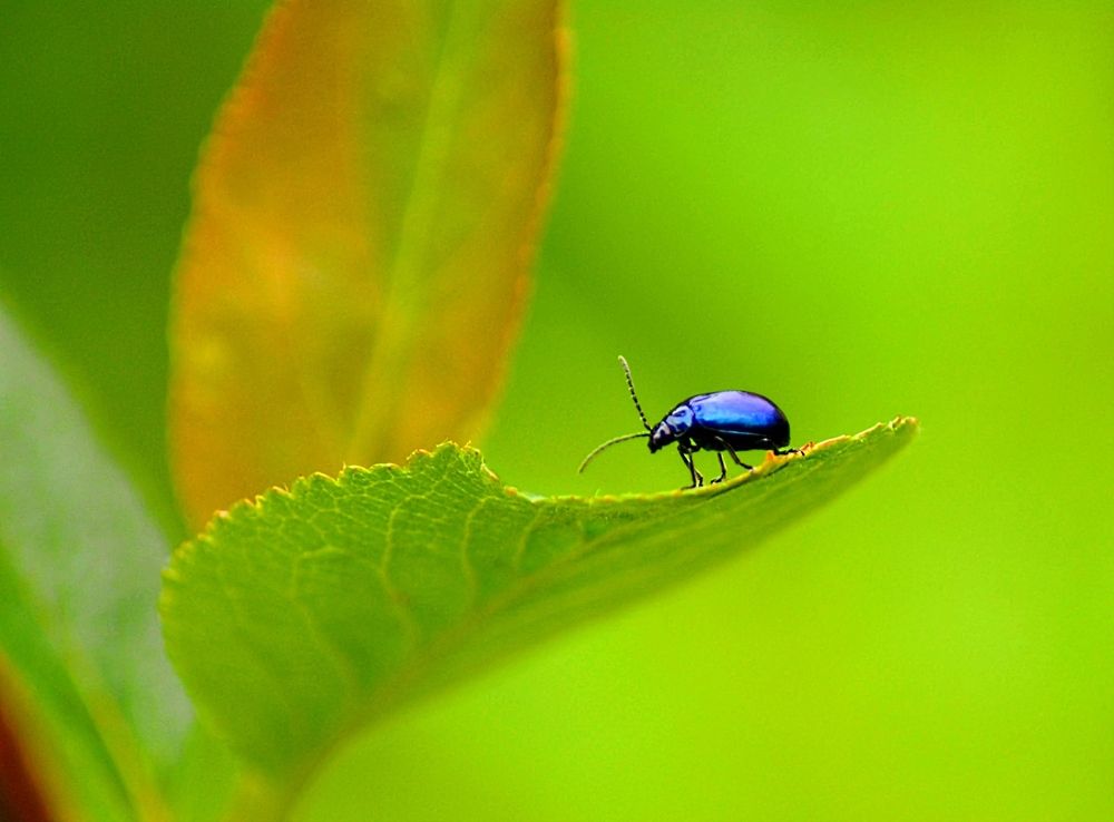 Photograph by София Бояринцева