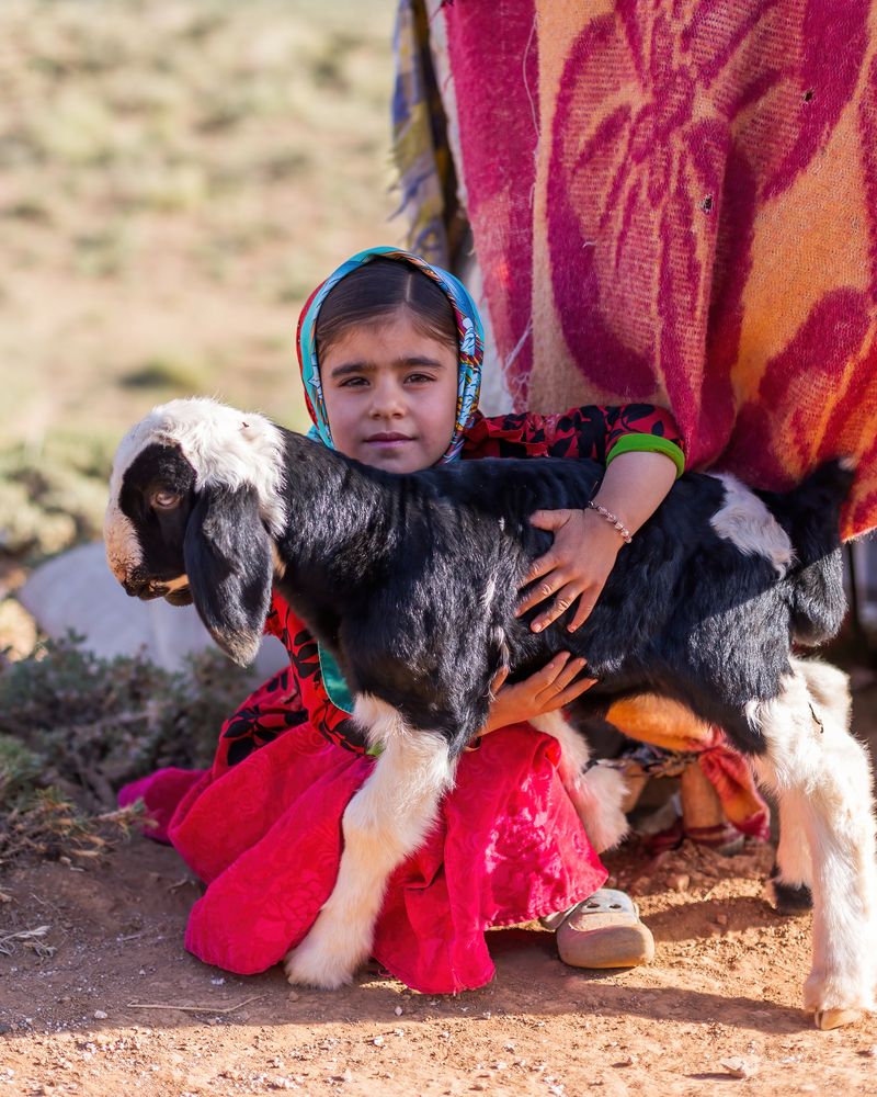 Photograph by Hamid espanani