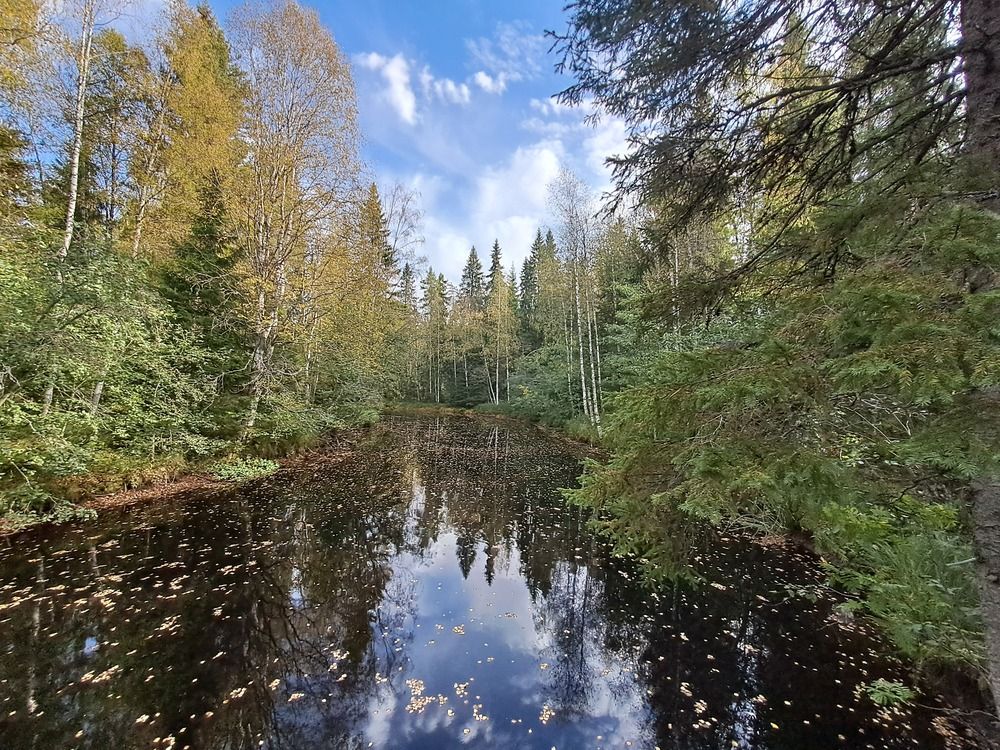 Photograph by Ирина Савельева