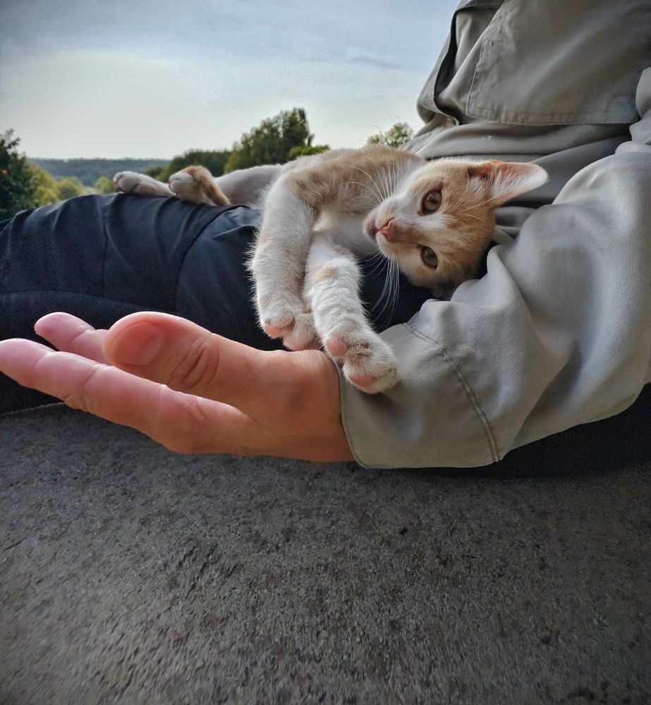 Photograph by Szilvia Pap