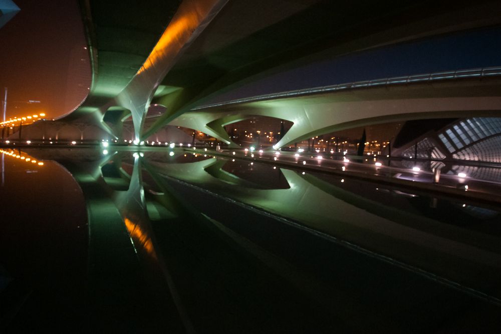 Фотография автора Максимова Дария