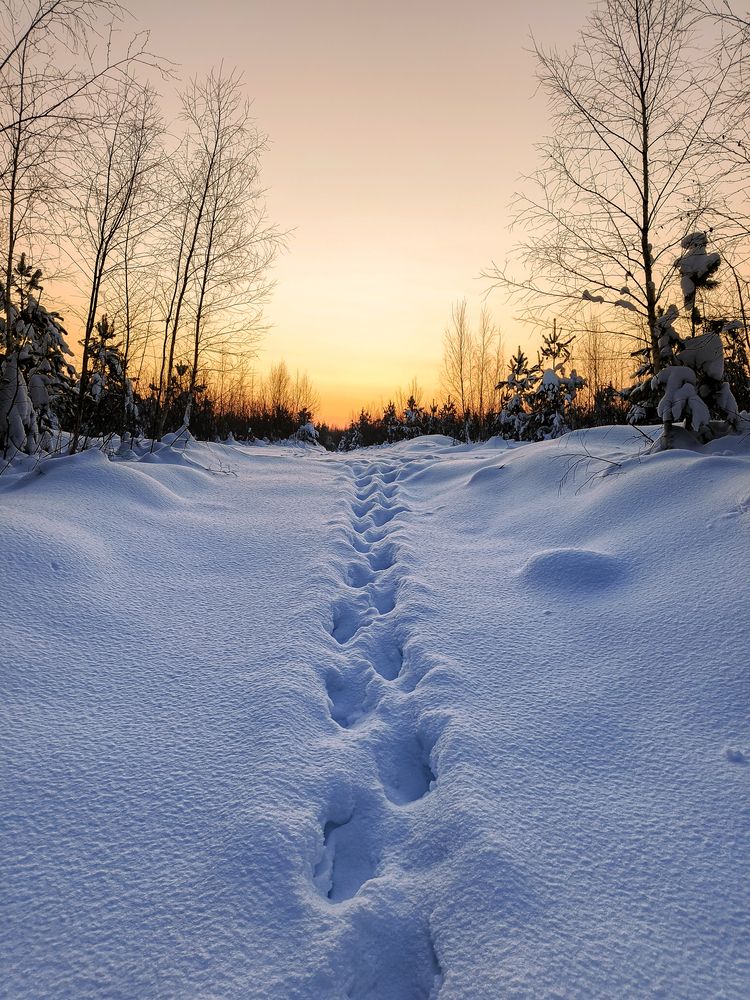 Photograph by Александр Хухлов