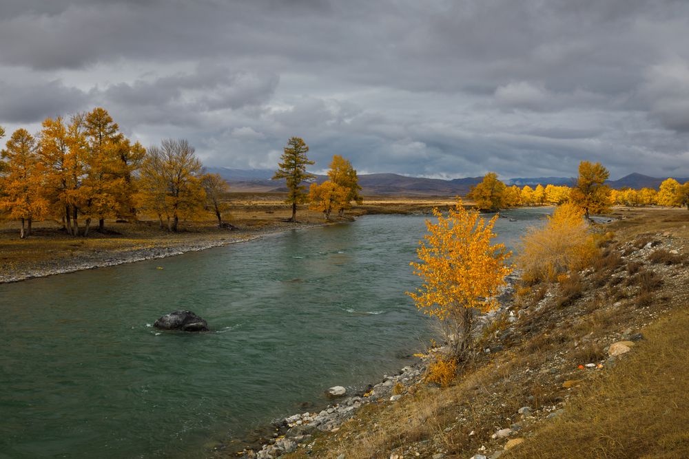 Фотография автора Мария Казакова