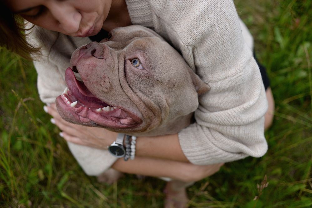 Photograph by Любовь Бузыкина