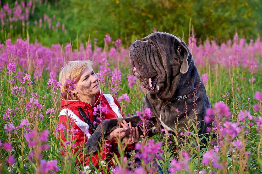 Photograph by Макуха Ольга