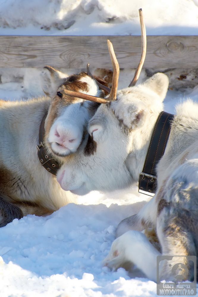 Photograph by Макуха Ольга